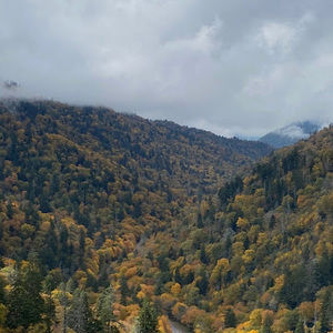 Meet your Posher, Jordank